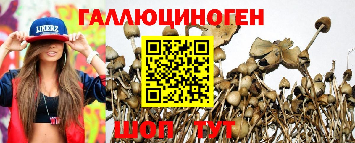 купить наркотики сайты  Галлюциногенные грибы ЛСД  Вход с VPN  Бутурлиновка 